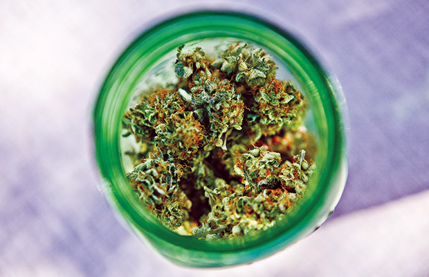 A green jar full of green is in the middle of the curing process.