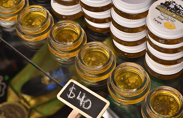 Emerald Cup Cannabis Now
