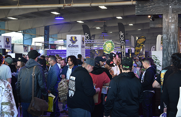 Emerald Cup Cannabis Now