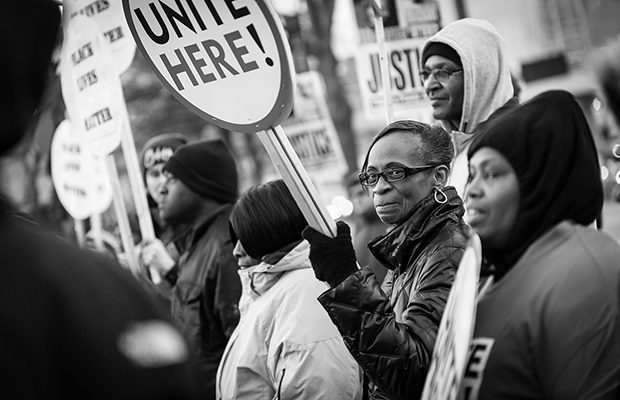 Marijuana Activism Cannabis Now