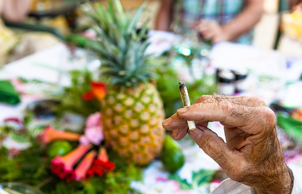 Swami smoking a joint during cannabis tasting 