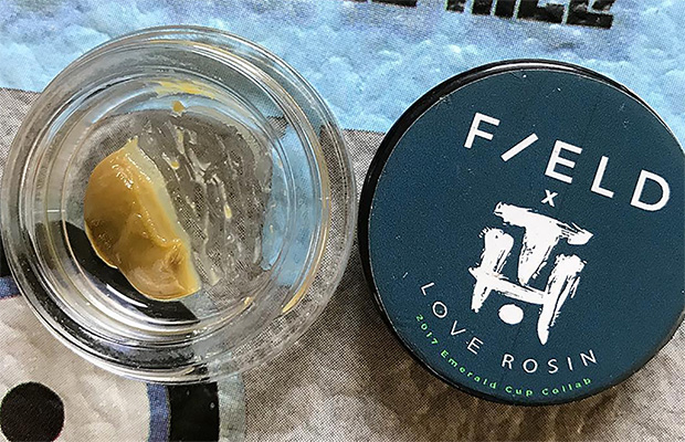 Fieldz TerpHogs Cannabis Now