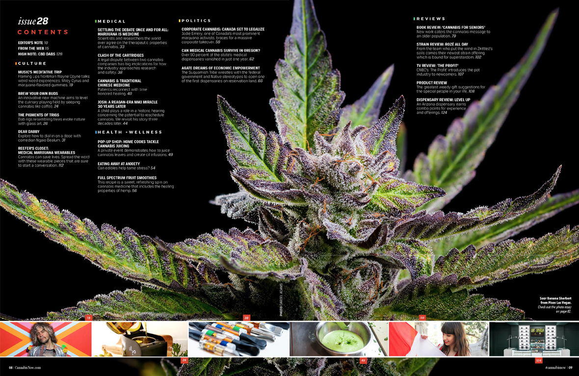 Purchase Cannabis Now Magazine Issue 28