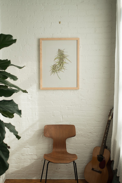 Marijuana Art Cannabis Now