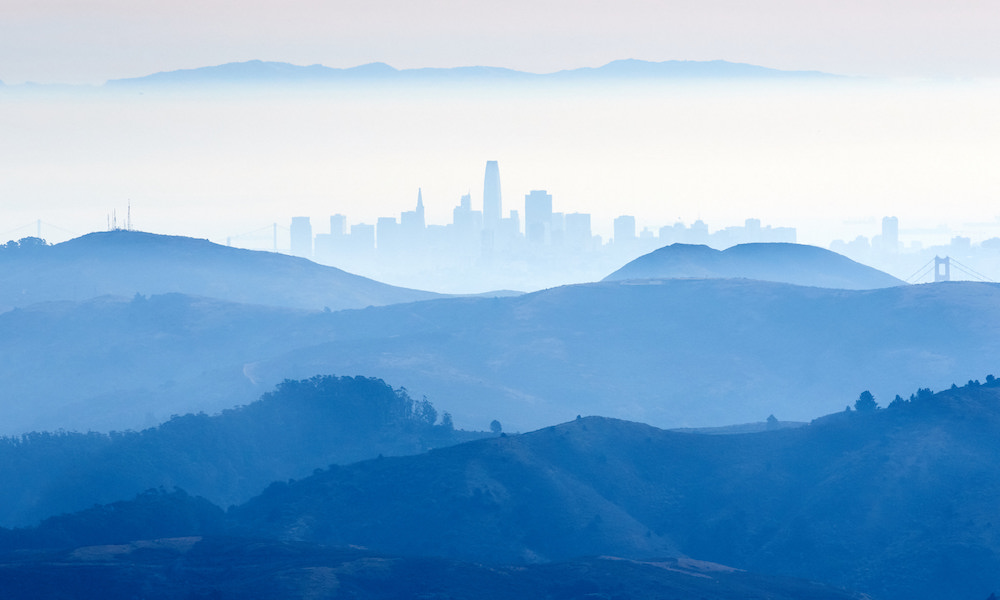 San Francisco Free Cannabis Now
