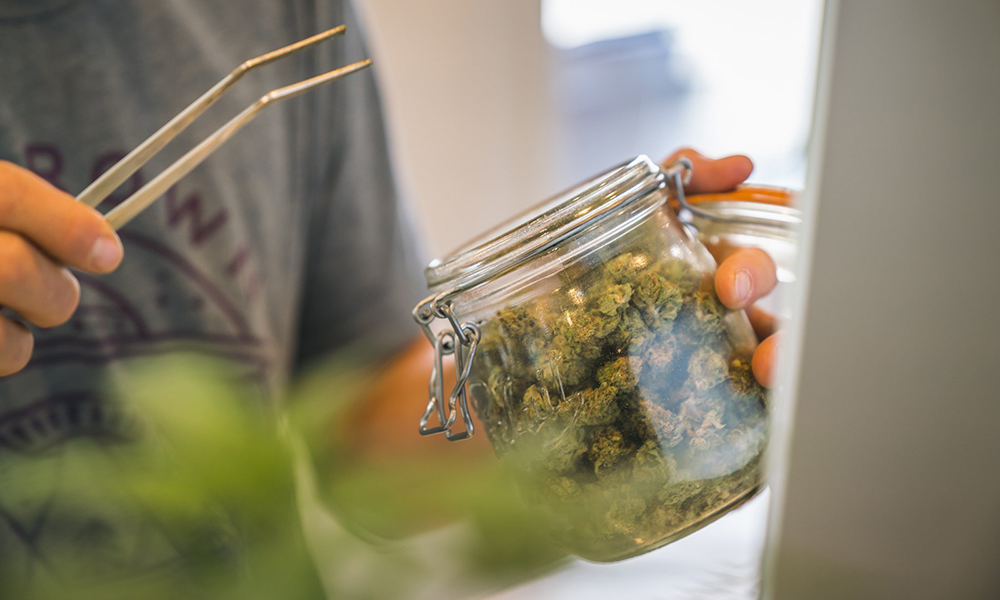 Oregrown retail shop open to adults grows a large percentage of its own flowers.