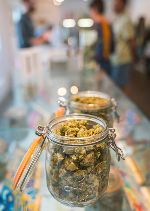 Oregrown retail shop open to adults grows a large percentage of its own flowers.