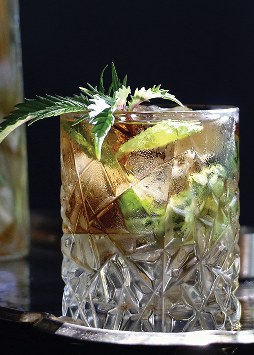 Cannabis Basil Lime Mocktail THC Infused Cannabis Now