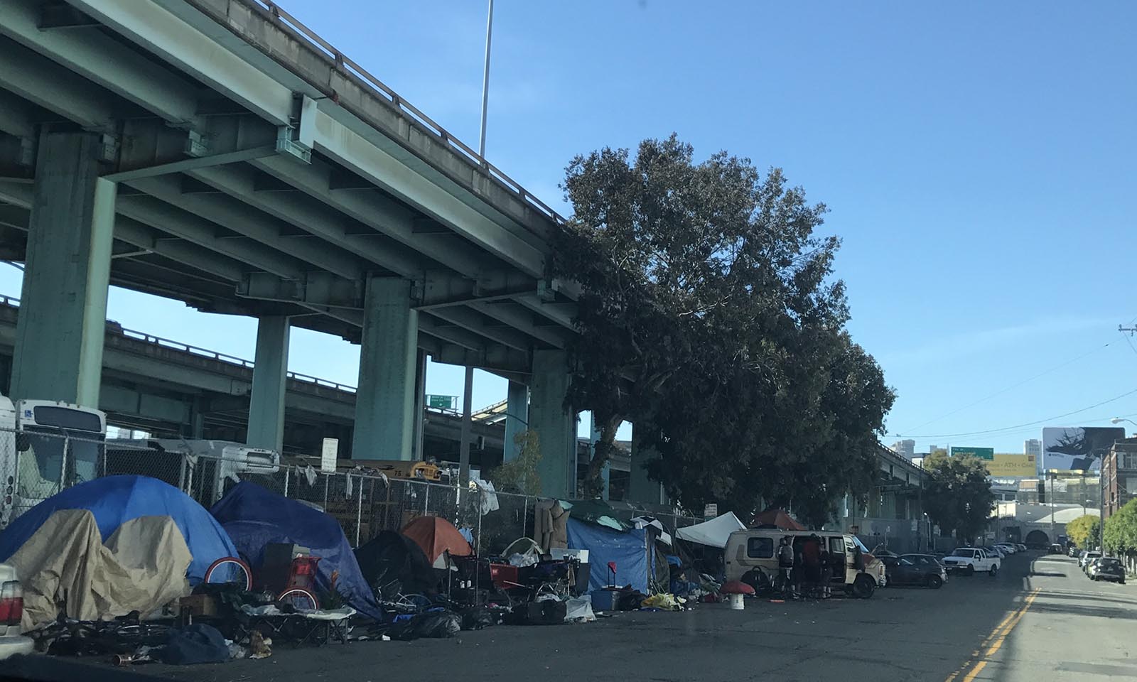 marijuana legalization homelessness Cannabis Now