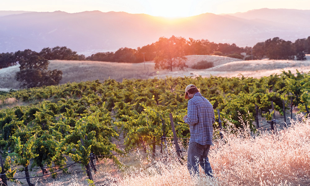 California's Beija Flor Farms believes cannabis farming can help with carbon sequestration.