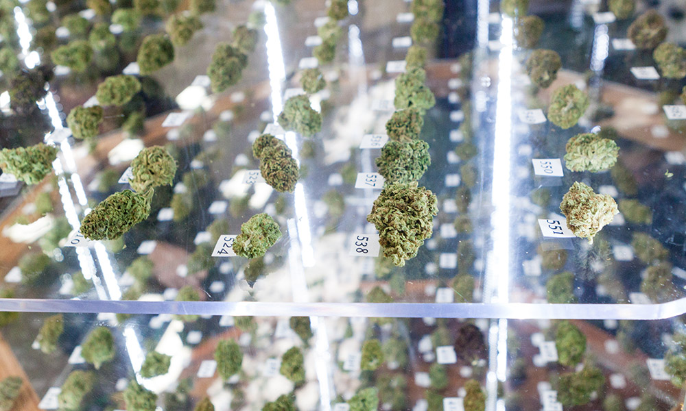 Enjoying cannabis is pretty easy, but reviewing and judging it's another matter, thankfully we have some tips to make it easier.