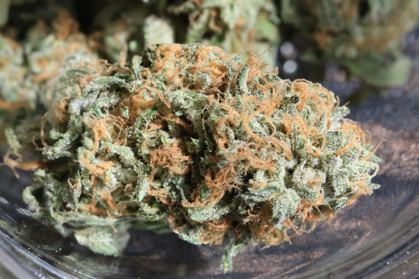 Zkittlez