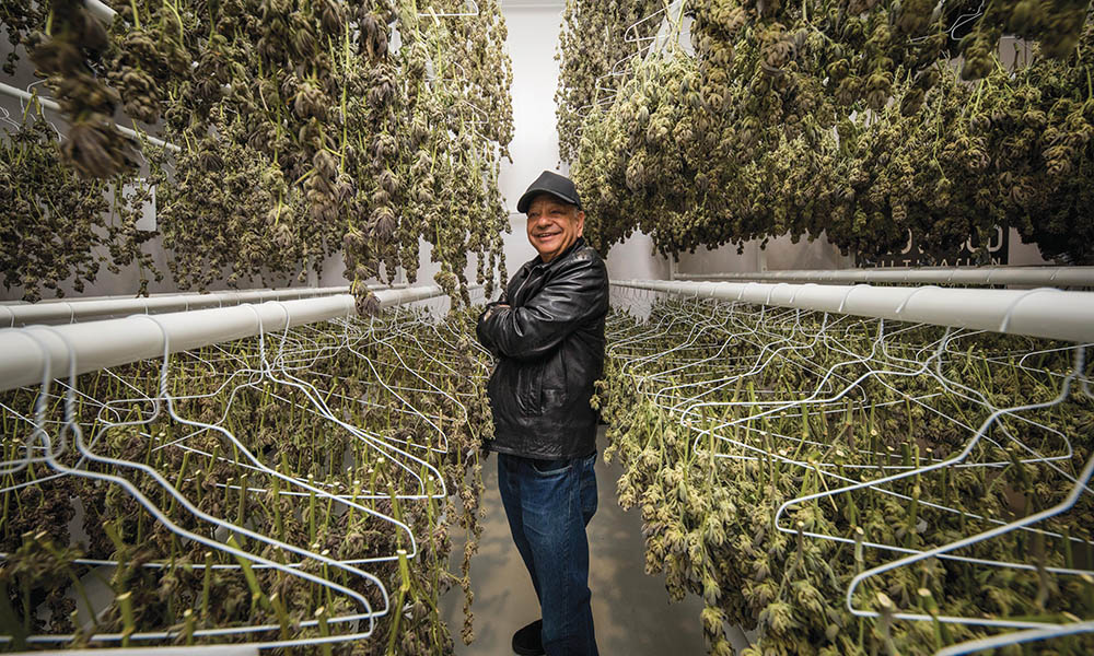 One half of the legendary comedy duo Cheech & Chong, Cheech Marin has stepped away from portraying cannabis use for much of his solo career, but is now back with a new film role and a line of marijuana products.