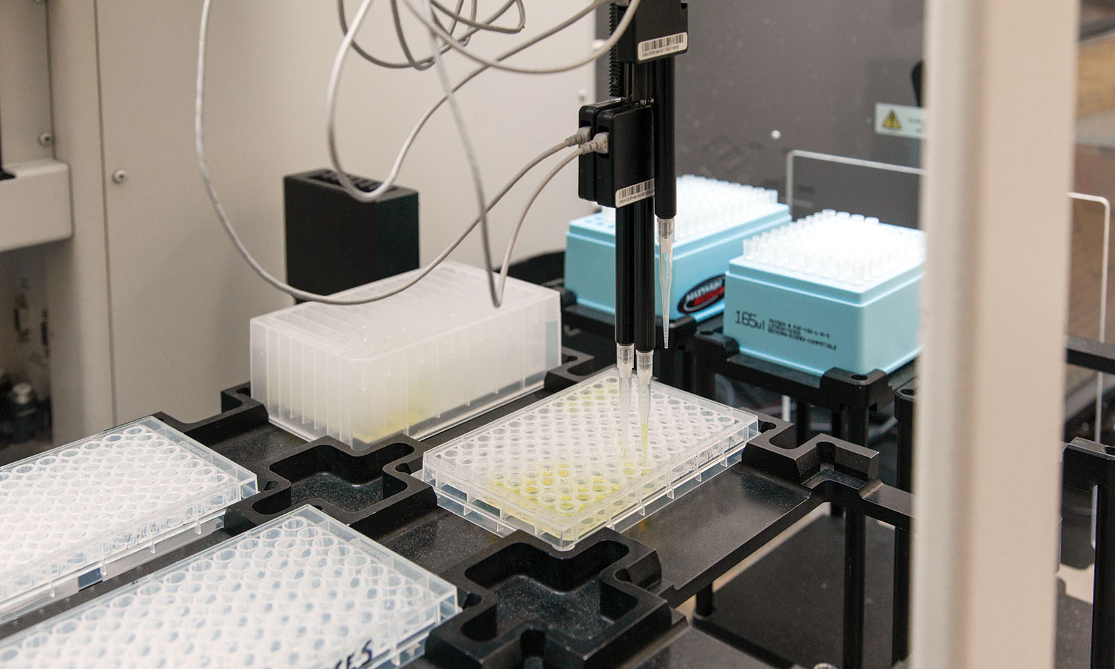 Ebbu lab Cannabis Now