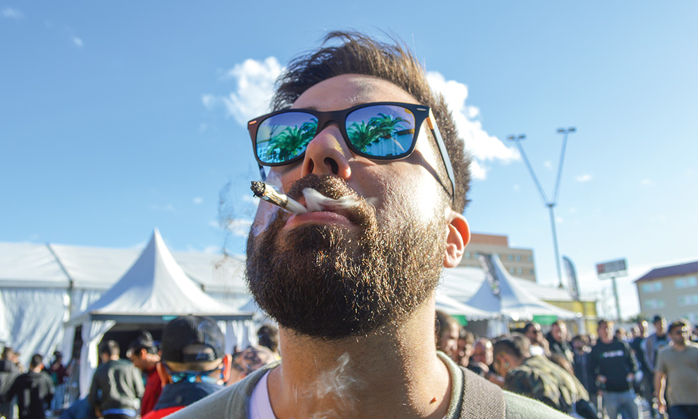 Spannabis Cannabis Smoker Spain Marijuana Cannabis Now