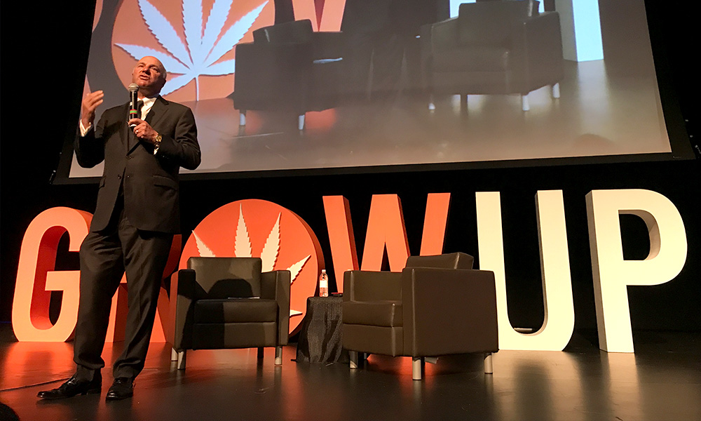 Grow Up Examines Canadian Market Pre-Legalization