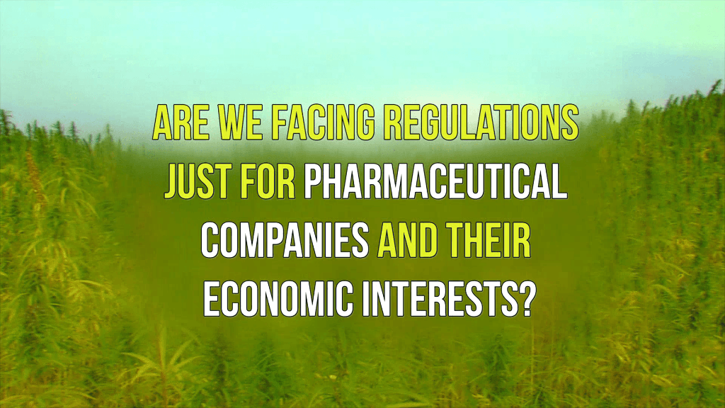 potential of hemp