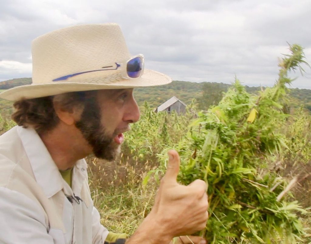 hemp