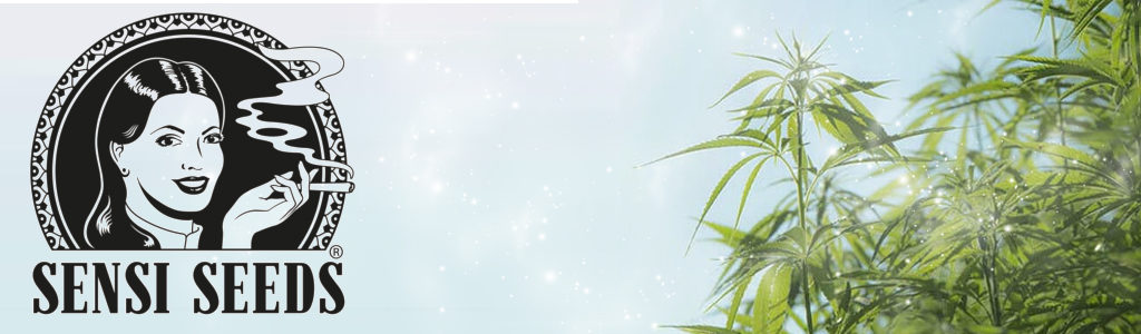 Sensi Seeds