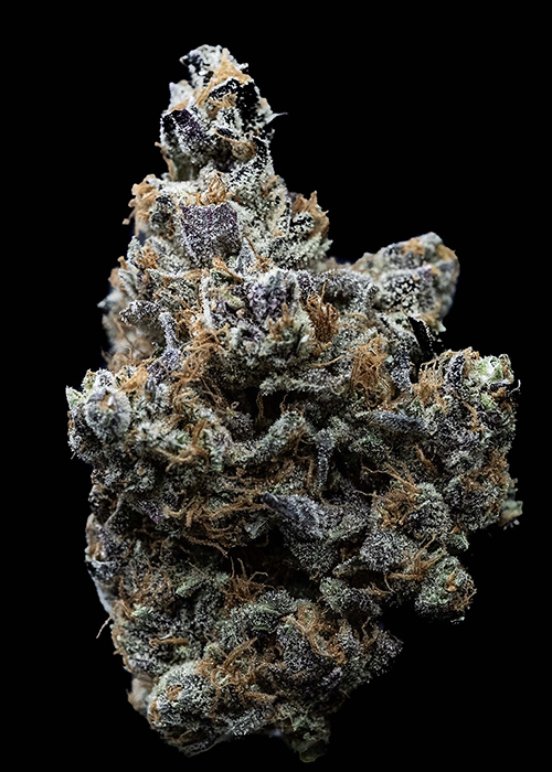 Sour Apple Zkittlez Gold Seal