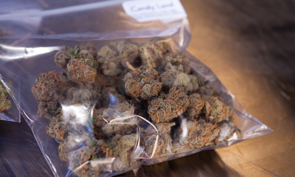 Candyland Strain in plastic bag sativa Energizing Cannabis Strains