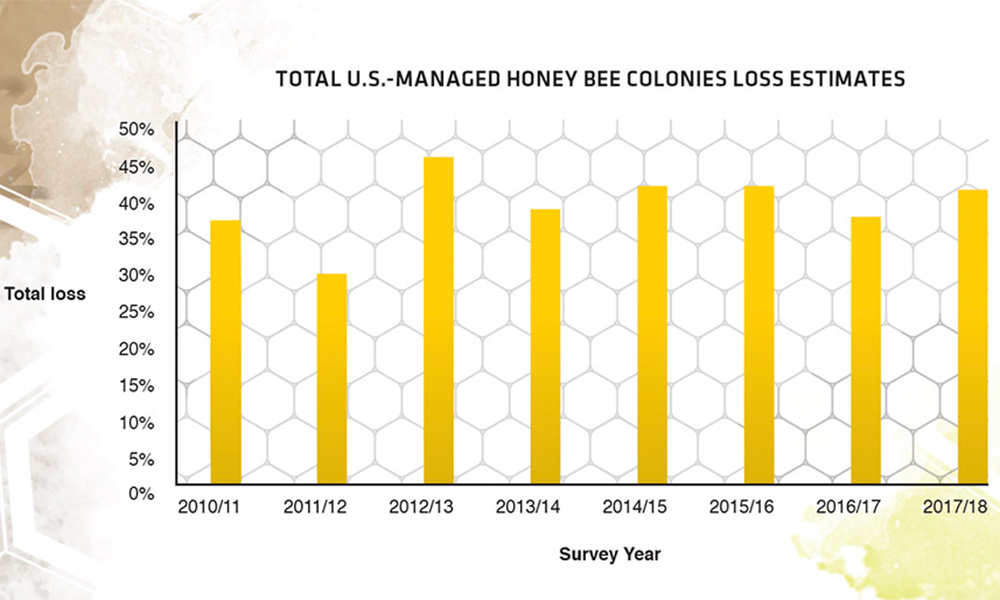 hemp and the honeybee