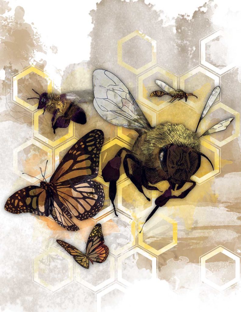 hemp and the honeybee