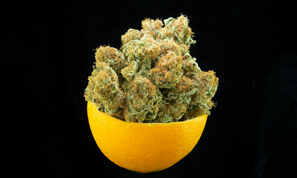 springtime strains