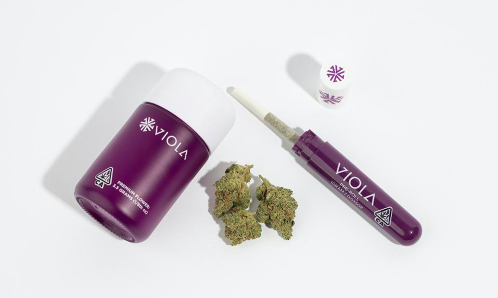 al harrington viola wellness