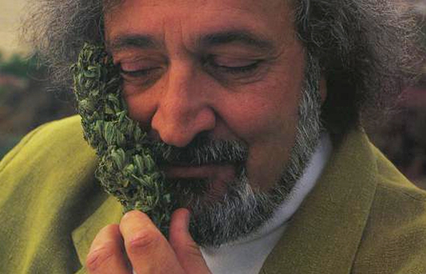 Jack Herer, the godfather of the modern hemp legalization movement, holds a large bud up to his face and inhales the beautiful scent with a smile on his face.