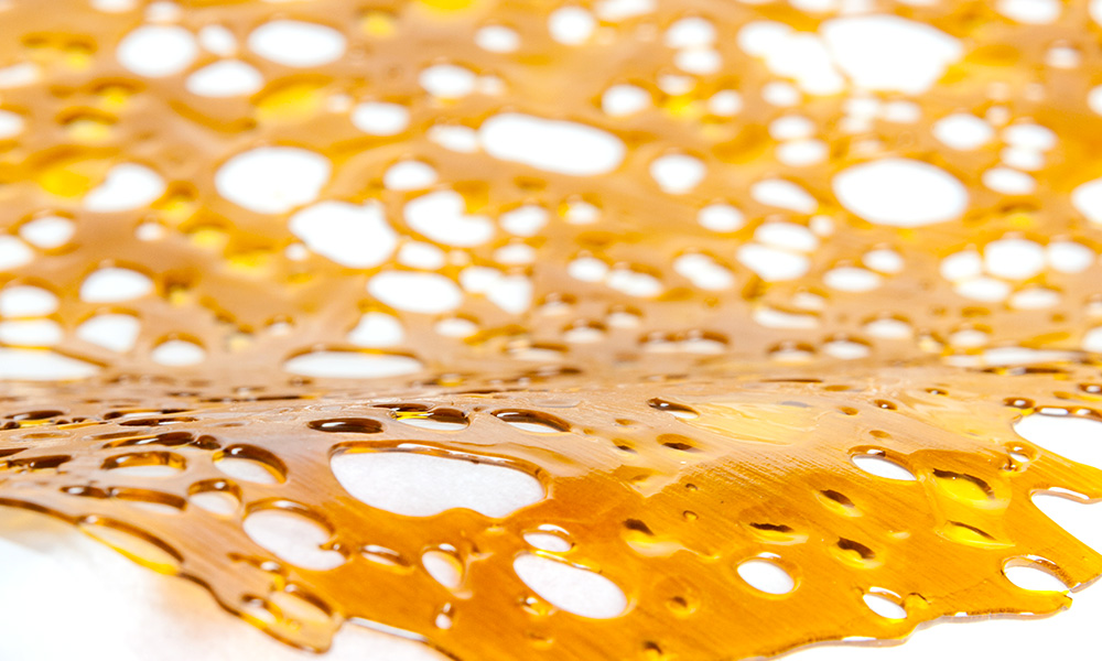 Oaksterdam: Attending a Cannabis College Class on Extracts