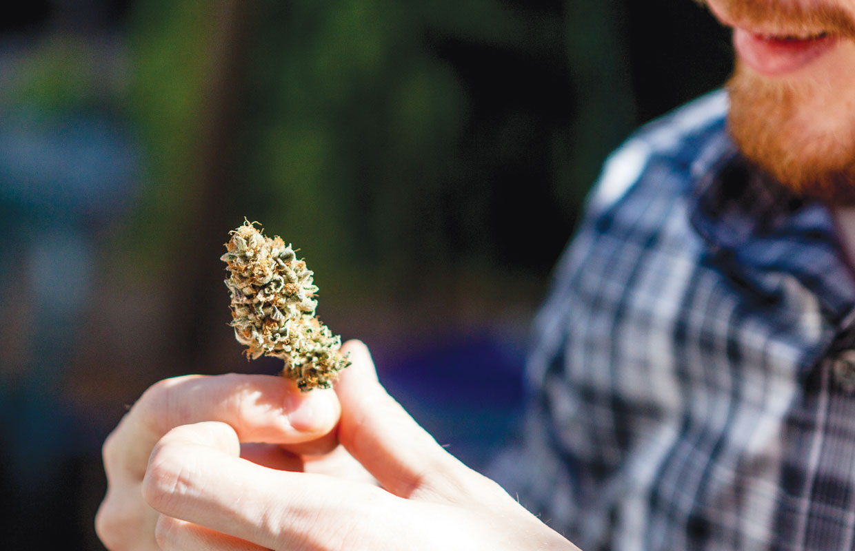 A man in blue plaid shirt holding a bud, he could be contemplating using marijuana to treat depression/anxiety.