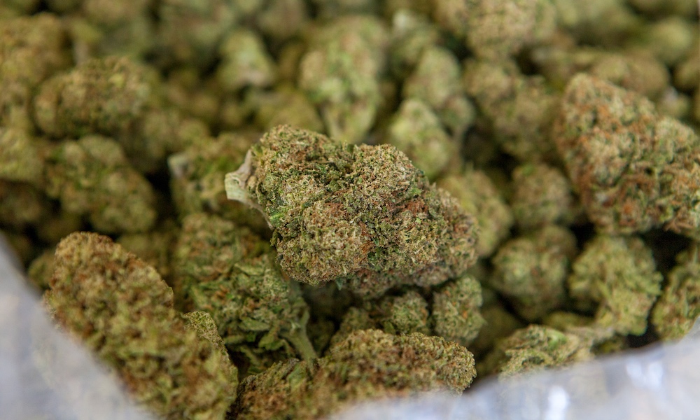 Cannabis Is the Best Fourth of July Drug