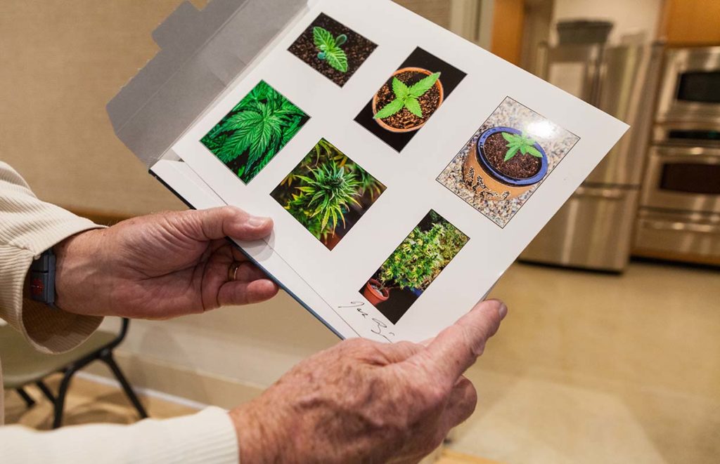 Seniors Cannabis Now Magazine