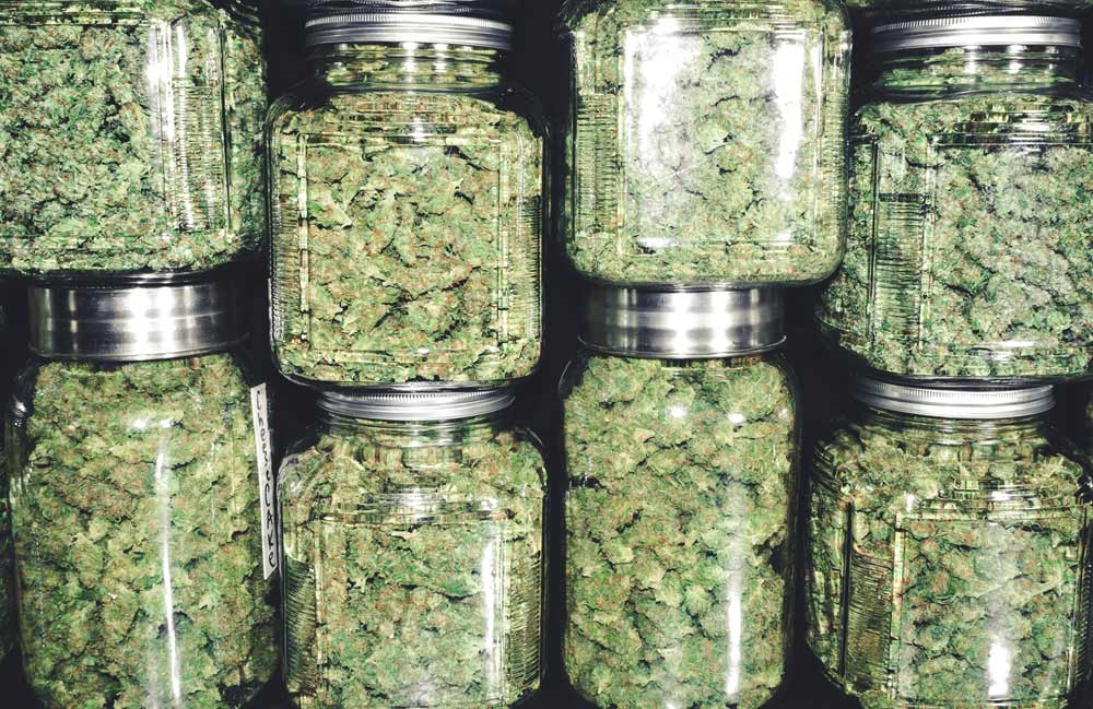 cannabis in jars