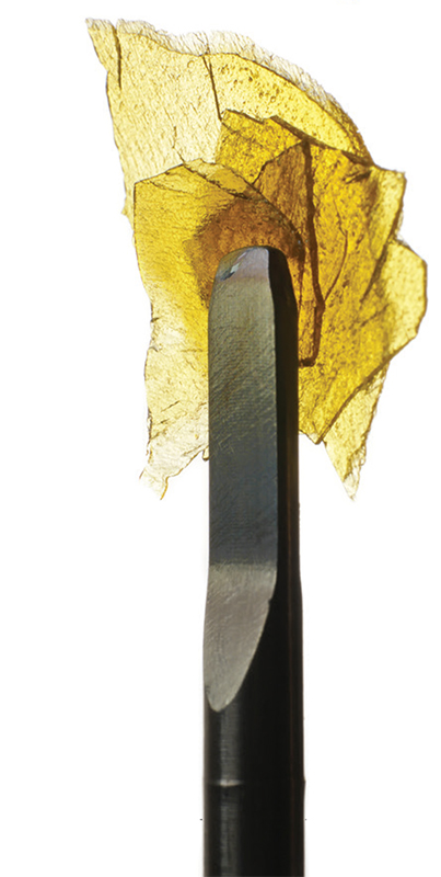 Super Silver Haze Concentrate