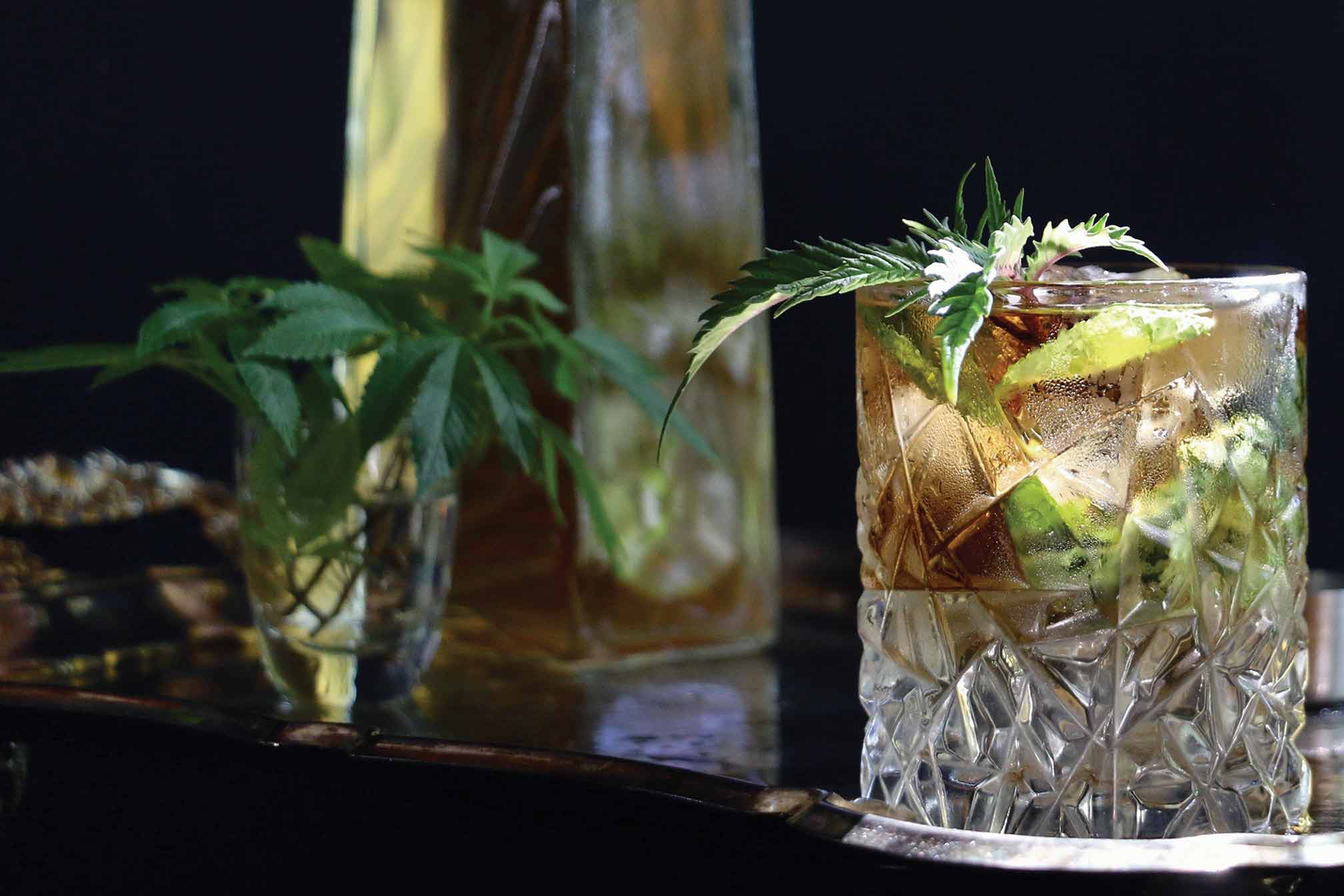 Thai Basil and Lime Cannabis-Infused Mocktail