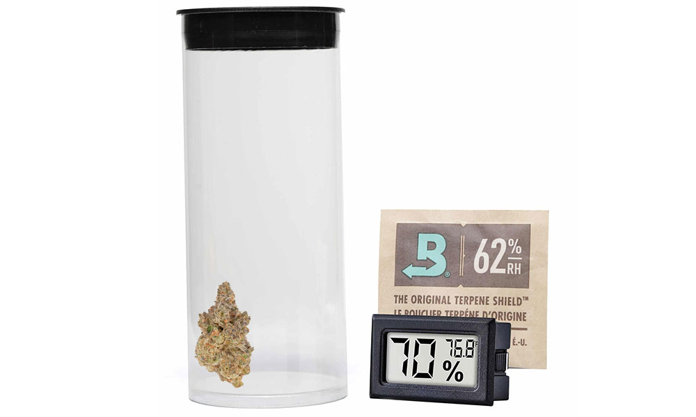 King Palm Stash Tube