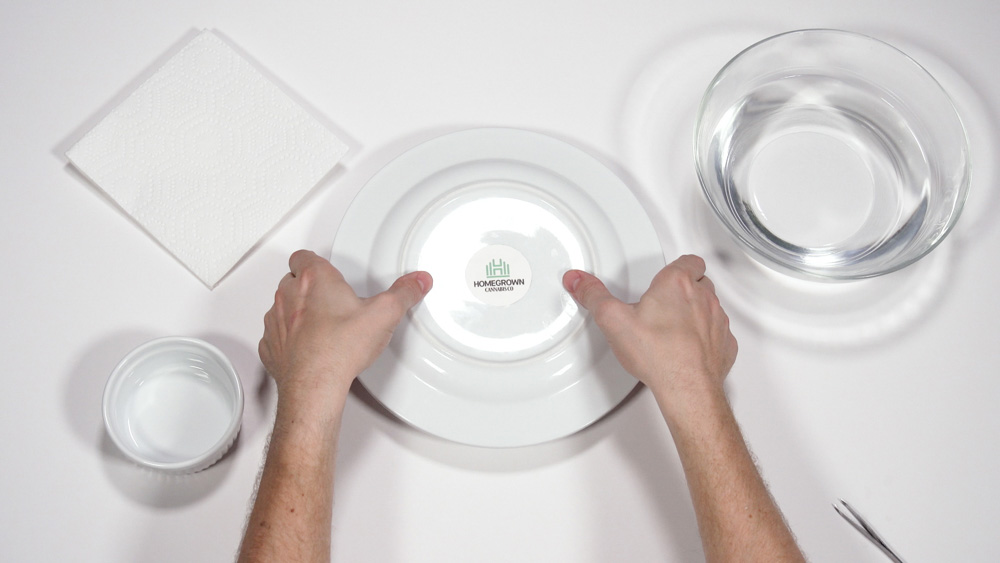 homemade incubation chamber for marijuana seed germination 