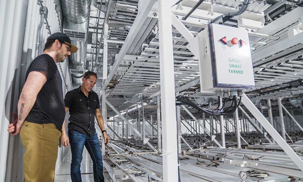 Fohse Custom Indoor Grow Lights