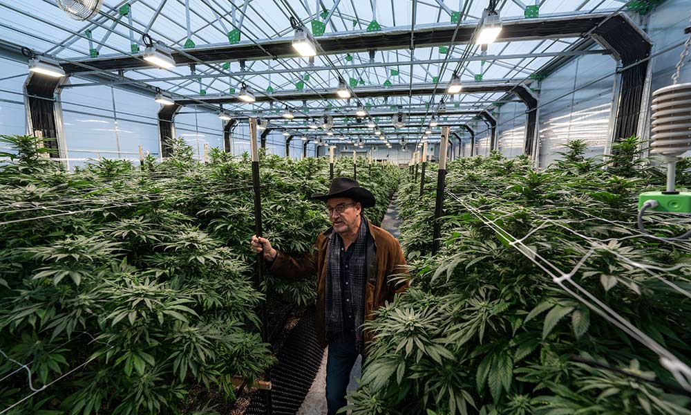 Fohse lights power Belushi's Farm