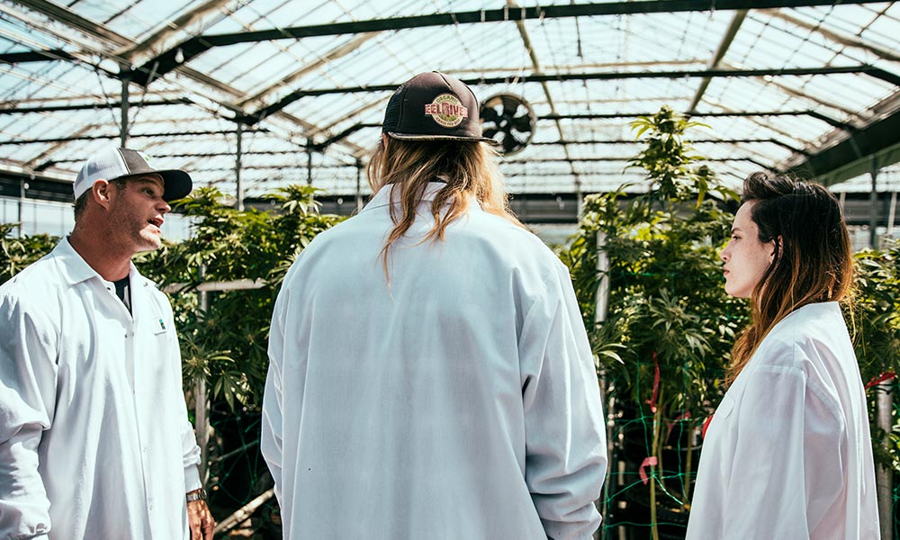 Glass House Farms