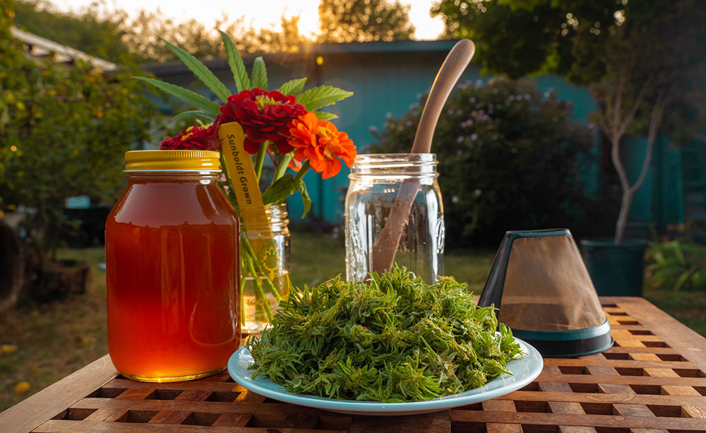 Sunboldt Grown craft cannabis