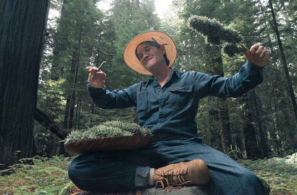 small cannabis farmers