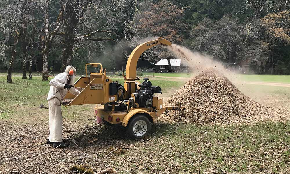 Making wood chips for cannabis soil