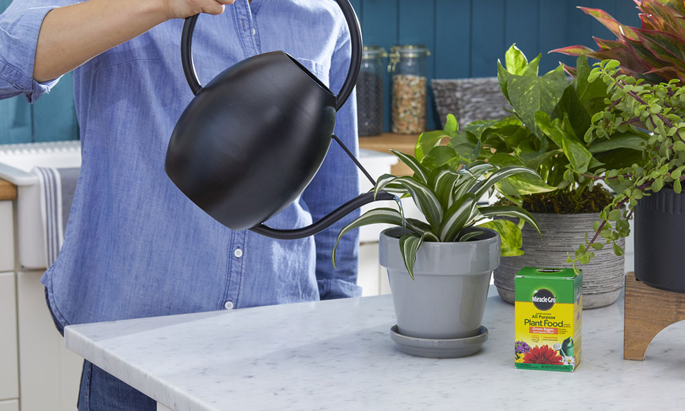 Scotts-MiracleGro and cannabis