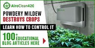 AiroClean420 - INTL Ad 2 - FINAL 2
