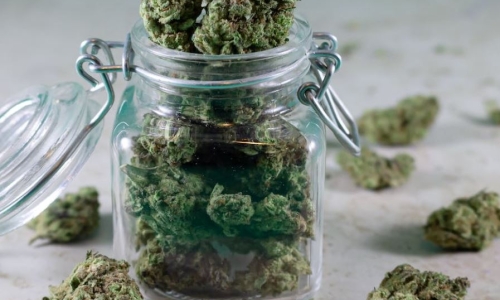 Arkansas has a solid October for medical marijuana on track for a record year