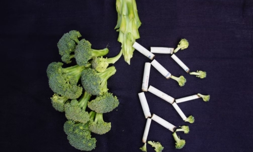 Cannabis could be more harmful to the lungs than tobacco, study suggests