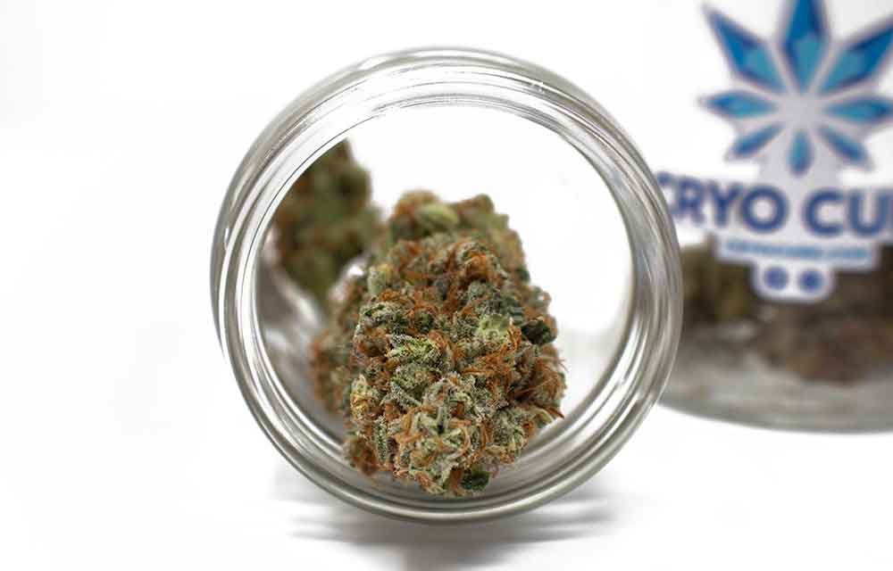 Cryo Cure Jar